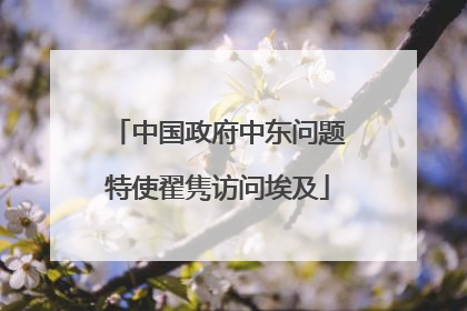 中国政府中东问题特使翟隽访问埃及