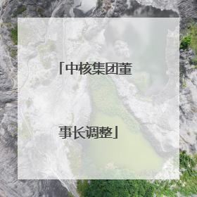 中核集团董事长调整