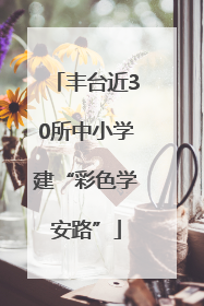 丰台近30所中小学建“彩色学安路”