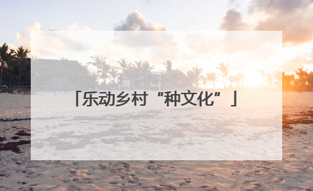 乐动乡村“种文化”