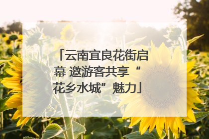 云南宜良花街启幕 邀游客共享“花乡水城”魅力