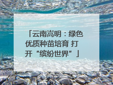 云南嵩明：绿色优质种苗培育 打开“缤纷世界”