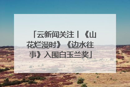 云新闻关注丨《山花烂漫时》《边水往事》入围白玉兰奖