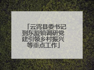 云霄县委书记到东厦镇调研党建引领乡村振兴等重点工作