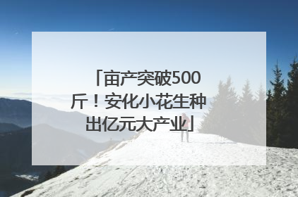 亩产突破500斤！安化小花生种出亿元大产业