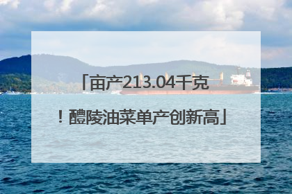 亩产213.04千克！醴陵油菜单产创新高
