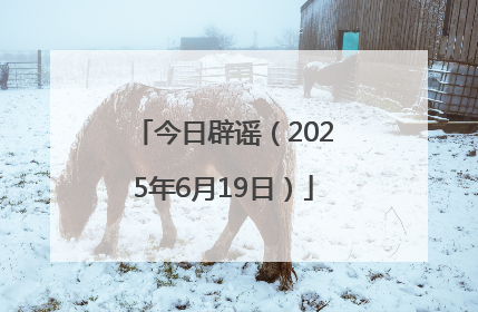 今日辟谣（2025年6月19日）