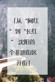 从“网红”到“长红” 沈阳首个非遗街区开街