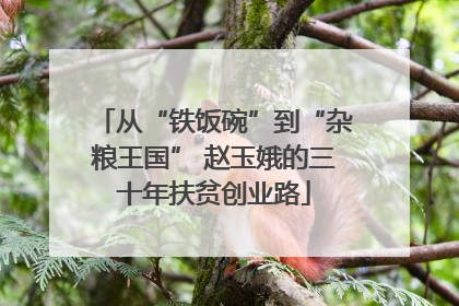 从“铁饭碗”到“杂粮王国” 赵玉娥的三十年扶贫创业路
