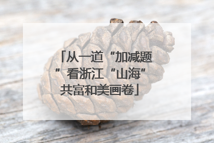 从一道“加减题”看浙江“山海”共富和美画卷