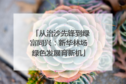 从治沙先锋到绿富同兴：新华林场绿色发展育新机