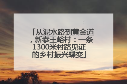 从泥水路到黄金道，新泰王峪村：一条1300米村路见证的乡村振兴蝶变