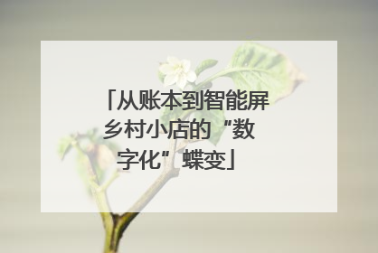 从账本到智能屏 乡村小店的“数字化”蝶变