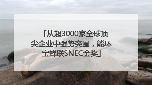 从超3000家全球顶尖企业中强势突围，能环宝蝉联SNEC金奖