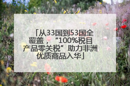 从33国到53国全覆盖，“100%税目产品零关税”助力非洲优质商品入华