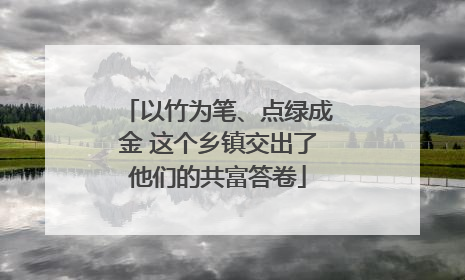 以竹为笔、点绿成金 这个乡镇交出了他们的共富答卷