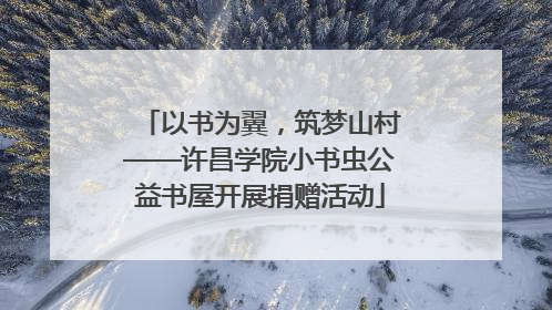 以书为翼，筑梦山村——许昌学院小书虫公益书屋开展捐赠活动