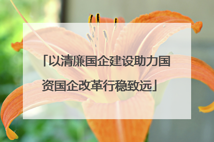 以清廉国企建设助力国资国企改革行稳致远