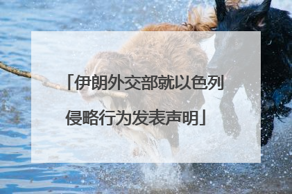 伊朗外交部就以色列侵略行为发表声明