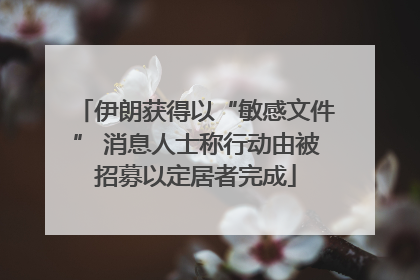 伊朗获得以“敏感文件” 消息人士称行动由被招募以定居者完成
