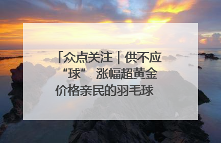 众点关注｜供不应“球” 涨幅超黄金 价格亲民的羽毛球为何身价飞涨？