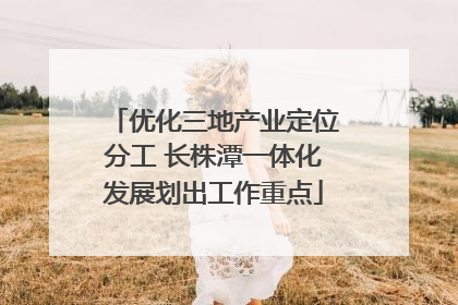 优化三地产业定位分工 长株潭一体化发展划出工作重点
