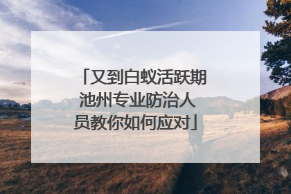 又到白蚁活跃期 池州专业防治人员教你如何应对