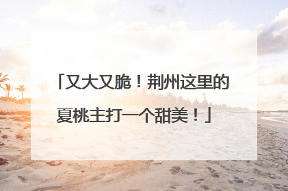 又大又脆！荆州这里的夏桃主打一个甜美！