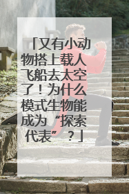 又有小动物搭上载人飞船去太空了！为什么模式生物能成为“探索代表”？