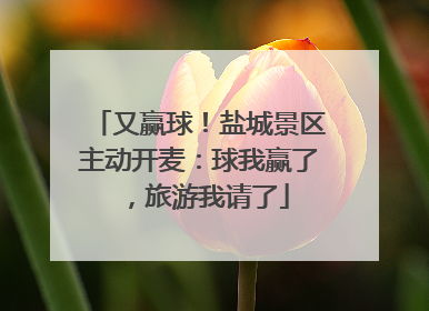 又赢球！盐城景区主动开麦：球我赢了，旅游我请了