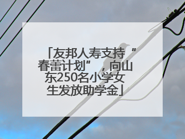 友邦人寿支持“春蕾计划”，向山东250名小学女生发放助学金