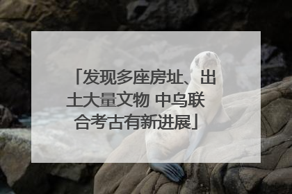 发现多座房址、出土大量文物 中乌联合考古有新进展