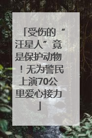 受伤的“汪星人”竟是保护动物！无为警民上演70公里爱心接力