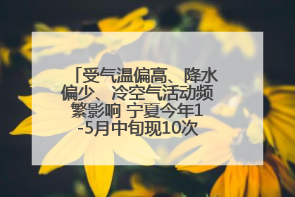 受气温偏高、降水偏少、冷空气活动频繁影响 宁夏今年1-5月中旬现10次定级沙尘天气过程