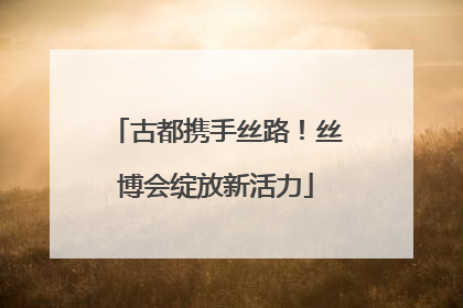 古都携手丝路！丝博会绽放新活力