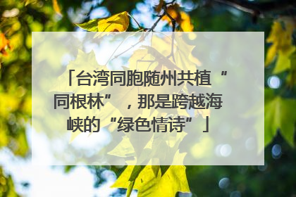 台湾同胞随州共植“同根林”，那是跨越海峡的“绿色情诗”