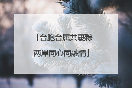 台胞台属共裹粽 两岸同心同融情