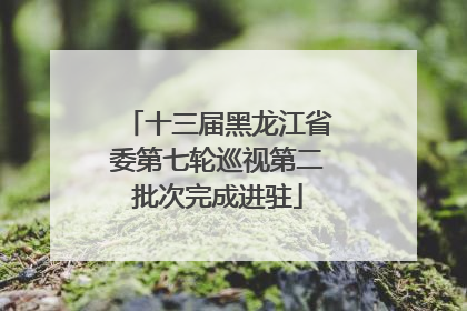 十三届黑龙江省委第七轮巡视第二批次完成进驻