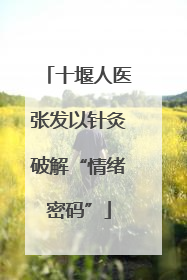 十堰人医张发以针灸破解“情绪密码”