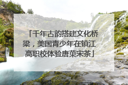 千年古韵搭建文化桥梁，美国青少年在镇江高职校体验唐菓宋茶