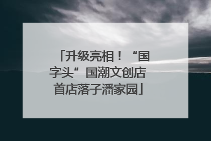 升级亮相！“国字头”国潮文创店首店落子潘家园