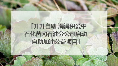 升升自助 涓涓积爱中石化黄冈石油分公司启动自助加油公益项目