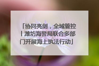 协同亮剑，全域管控丨潍坊海警局联合多部门开展海上执法行动