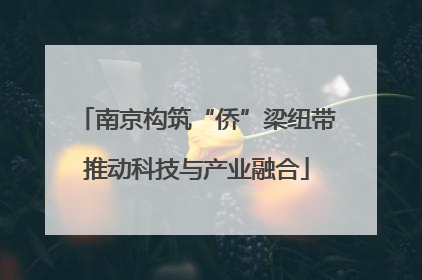 南京构筑“侨”梁纽带推动科技与产业融合