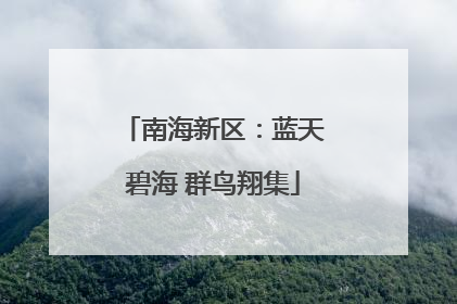 南海新区：蓝天碧海 群鸟翔集