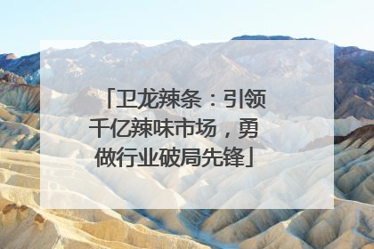卫龙辣条：引领千亿辣味市场，勇做行业破局先锋