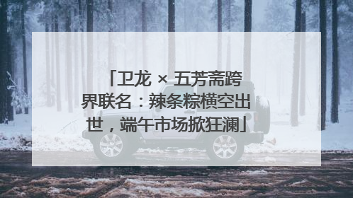 卫龙 × 五芳斋跨界联名：辣条粽横空出世，端午市场掀狂澜