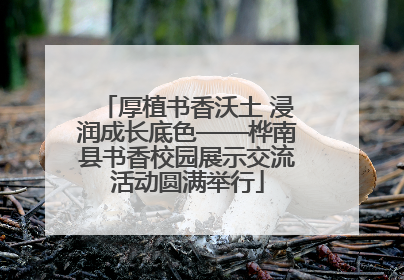厚植书香沃土 浸润成长底色——桦南县书香校园展示交流活动圆满举行