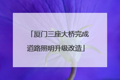 厦门三座大桥完成道路照明升级改造