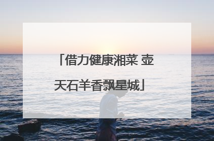 借力健康湘菜 壶天石羊香飘星城